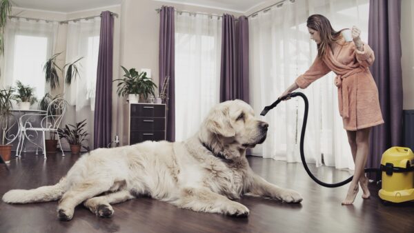 Tips for Maintaining a Clean Home with Pets
