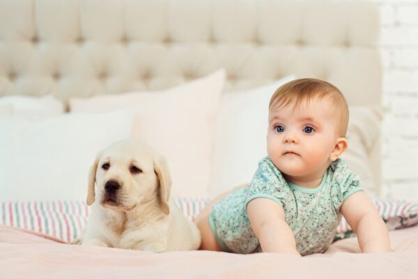 5 Things Babies and Puppies Have in Common