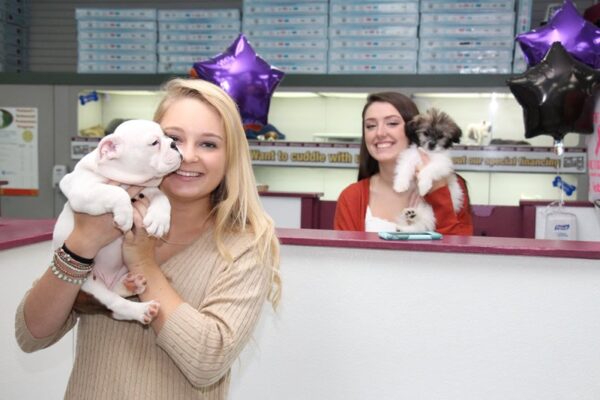 Petland Mall of Georgia’s Top 6 New Year’s Resolutions for Your Pet