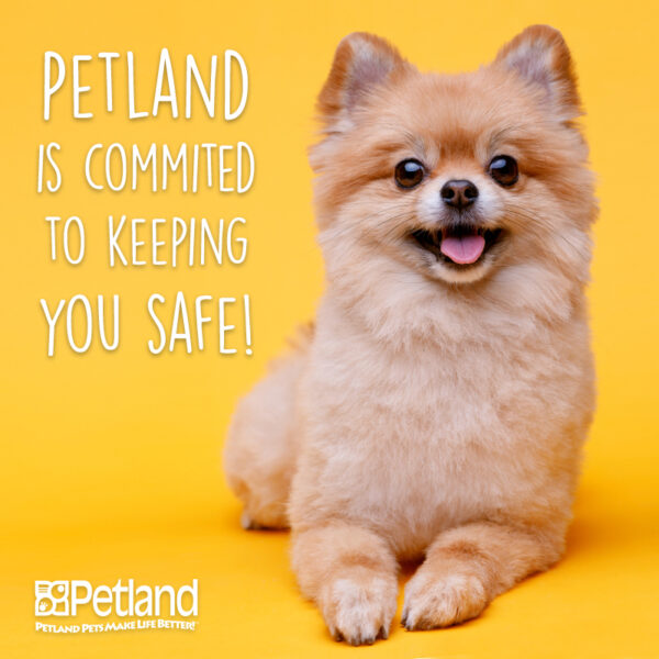 How Petland is Staying Safe during the Holiday Season
