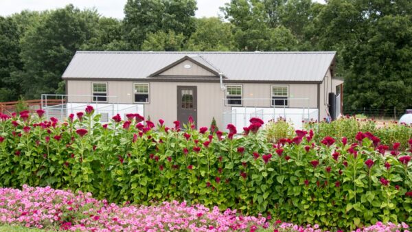 Petland Breeders Spotlight on That’ll Do Kennel: Where Does Petland Get Its Puppies?