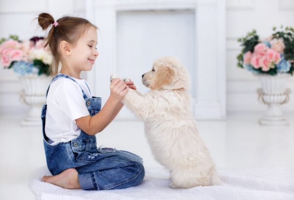 Petland celebrates more than 350 Wishes Granted through Make-A-Wish®