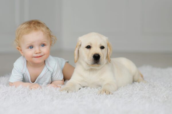Dogs and Newborns: This Is How to Introduce a Dog to Your Baby