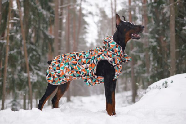 The Best Winter Coats/Sweaters For Large Dogs (And A Couple For New Puppies Too!)