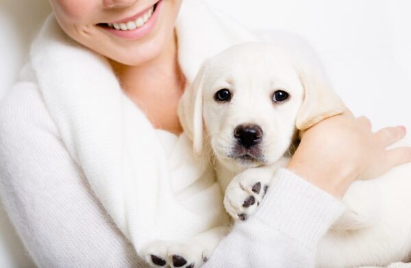Best Breeds for Mother’s Day