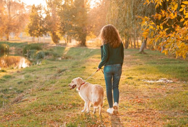 Must-Know Autumn Safety Tips for Pet Parents