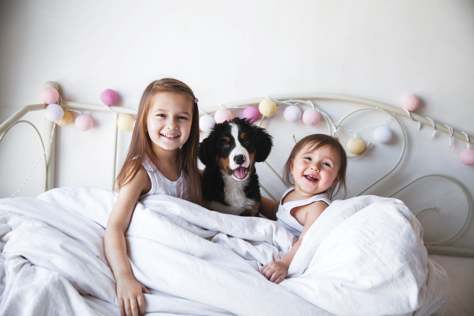 Atlanta’s Source For Healthy, Happy Puppies banner